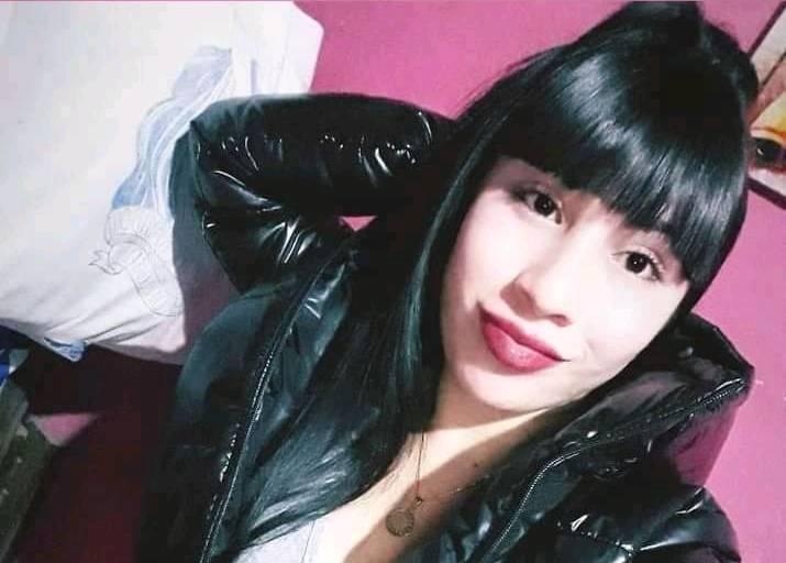 En este momento estás viendo Budge: Escapó para evitar que le robaran, la atropelló un colectivo y murió