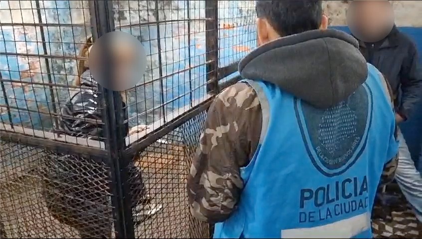 En este momento estás viendo Avellaneda: Cayó una «viuda negra», prófuga por un crimen