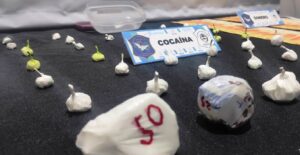 Lee más sobre el artículo Cayó una banda de Narcos VIP que actuaba en Las Lomitas