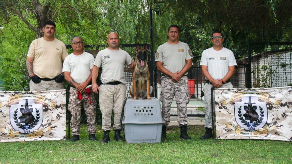Lee más sobre el artículo Las cárceles bonaerenses suman perros detectores de estupefacientes