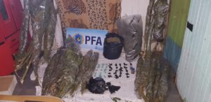 Lee más sobre el artículo Narcokiosco: Cuatro detenidos y 128 plantas de cannabis secuestradas en Varela