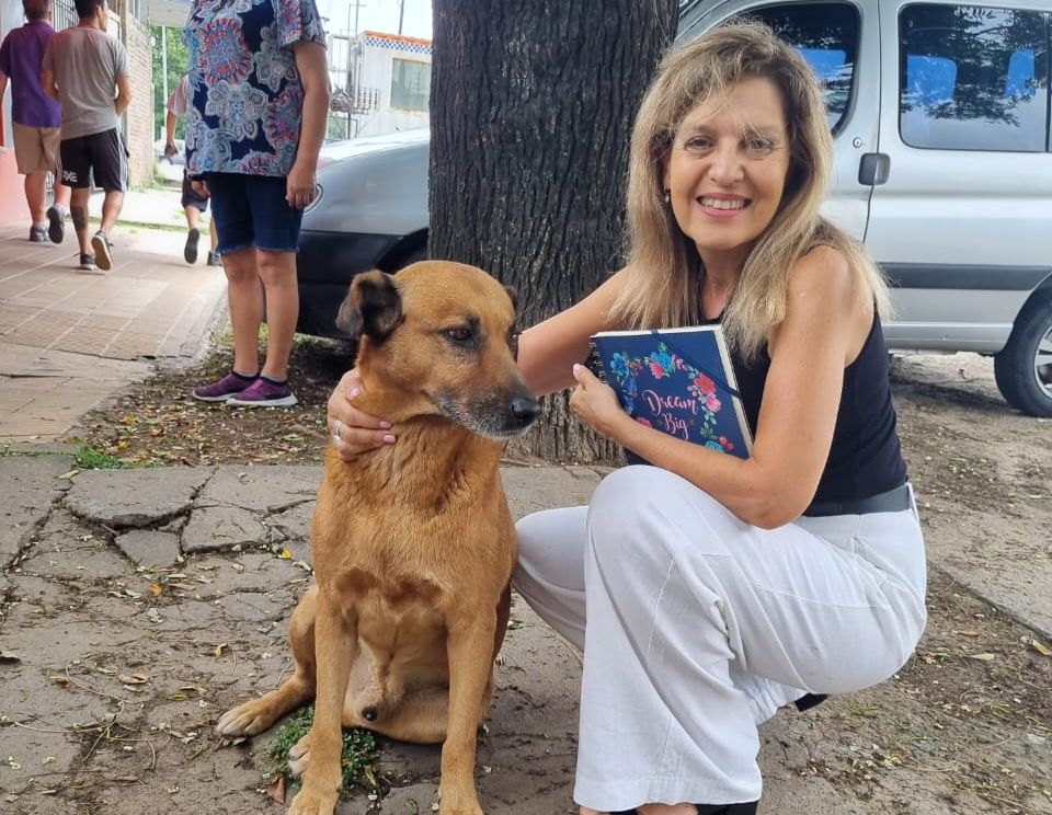 En este momento estás viendo Proponen aumentar las penas por maltrato animal