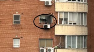 Lee más sobre el artículo Maltrato animal: Rescatan a un perro al que dejaban al borde de una ventana en un sexto piso