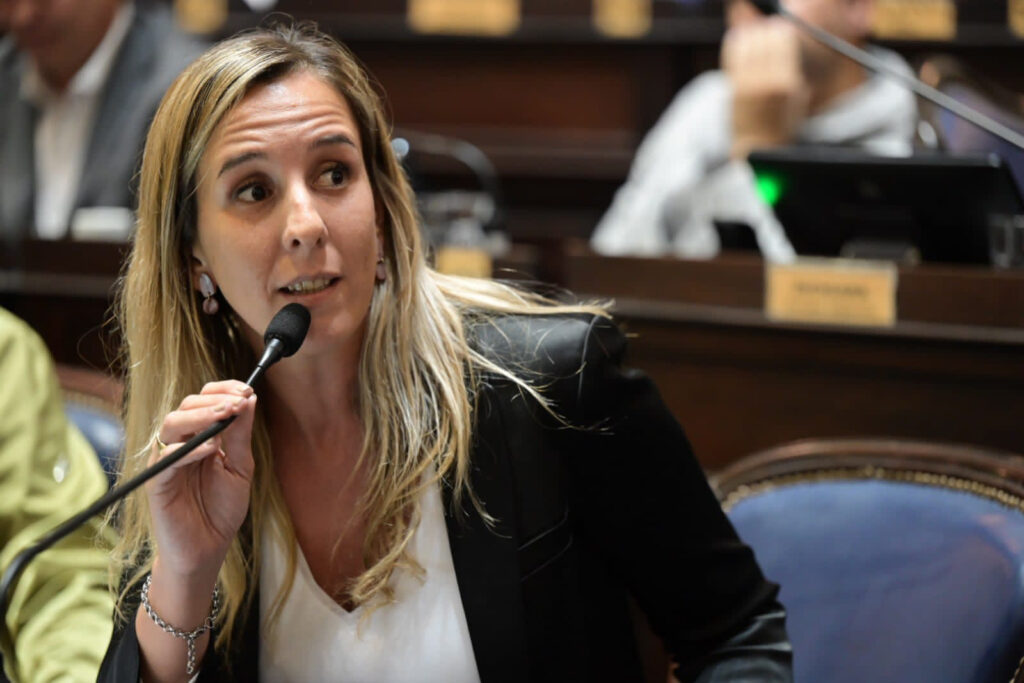 Lee más sobre el artículo Avanza una ley para reglamentar el protocolo de la Cámara Gesell