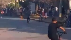 Lee más sobre el artículo Fiorito: una protesta terminó en el robo a una escuela