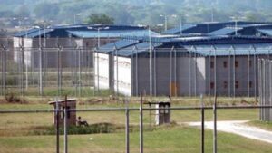 Lee más sobre el artículo Alertan sobre el crecimiento de la superpoblación en cárceles federales