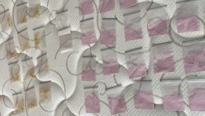 Lee más sobre el artículo Doce argentinos detenidos por vender drogas en fiestas privadas de Punta del Este