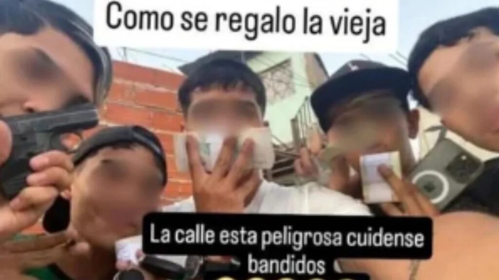 Lee más sobre el artículo Los amigos del ladrón que amordazó a una jubilada advierten que saldrán a la calle a matar