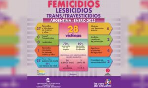 Lee más sobre el artículo En enero hubo 28 víctimas de violencia de género en Argentina