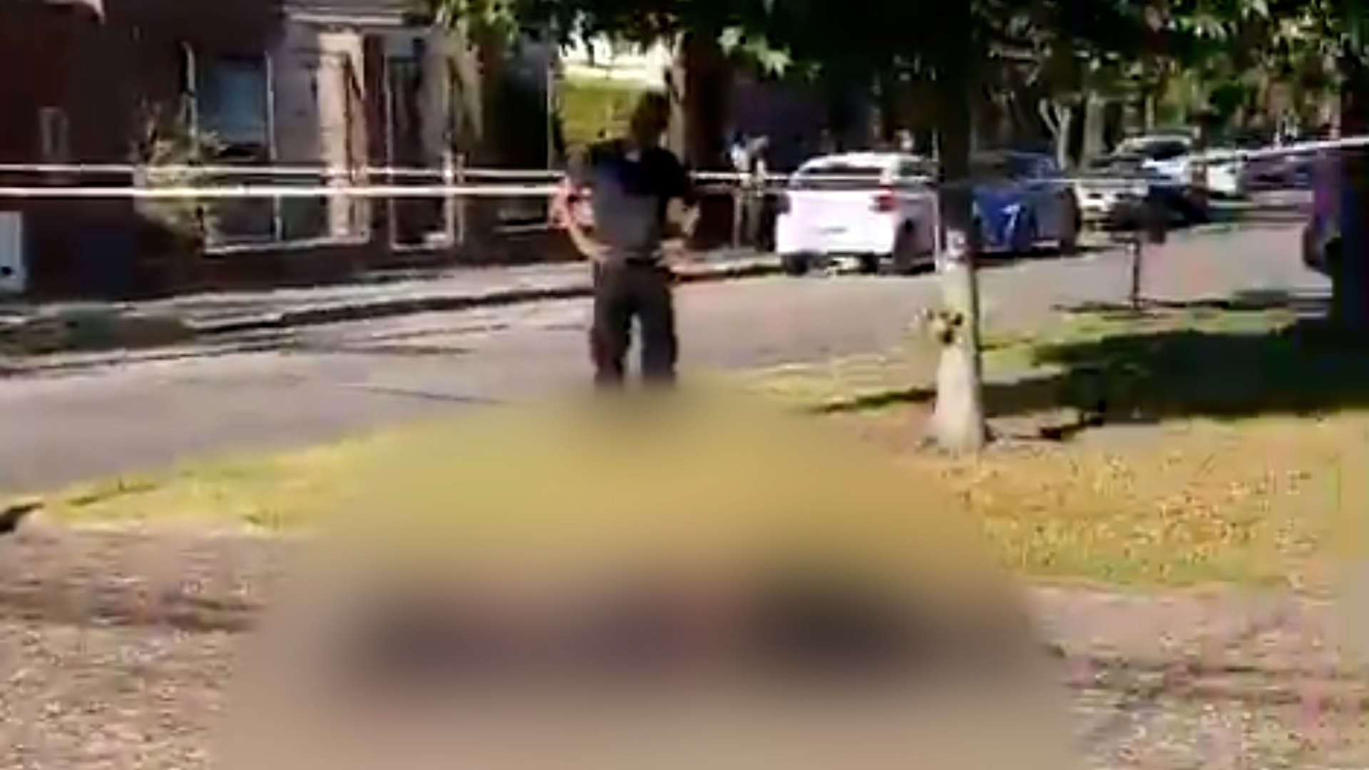 En este momento estás viendo Policía bonaerense retirado mató a delincuente que intentó robarle la camioneta