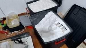 Lee más sobre el artículo Desbaratan una banda que «cortaba» cocaína con un pesticida