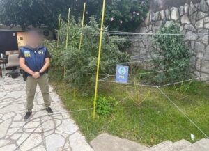 Lee más sobre el artículo Detuvieron a dos dealers de Quilmes: Secuestraron 180 kilos de marihuana