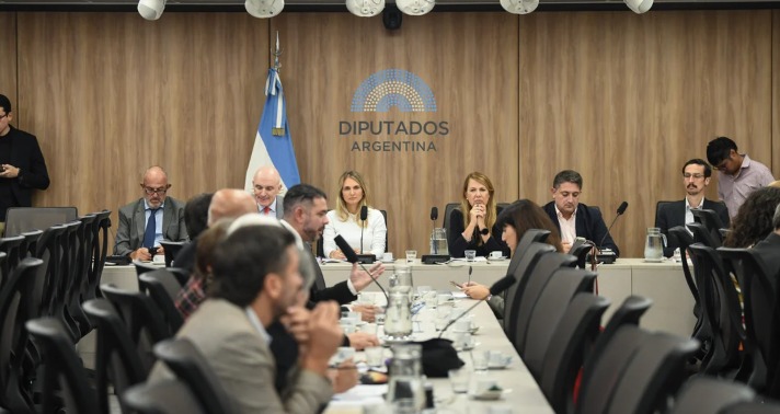 Lee más sobre el artículo Baja de la edad de imputabilidad: tiene dictamen la modificación al Régimen Penal Juvenil