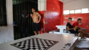 Lee más sobre el artículo Se redujo la cantidad de delitos cometidos por menores en la provincia de Buenos Aires