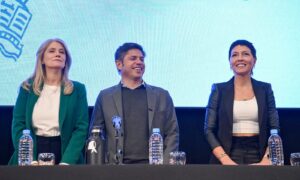 Lee más sobre el artículo Provincia: El peronismo sumará 10 diputados por la Tercera; LLA, 6 y el FIT, 2