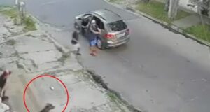 Lee más sobre el artículo Lanús: lo rodearon seis ladrones en la puerta de su casa y el perro de un vecino lo salvó