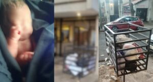 Lee más sobre el artículo Horror en San Martín: hallaron a beba recién nacida en un cesto de basura