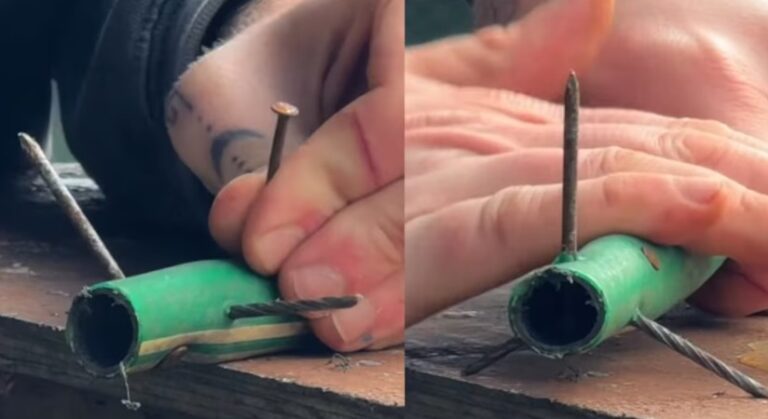 WhatsApp Image 2026-02-17 at 16.22