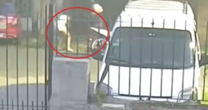 Lee más sobre el artículo Lomas: le golpeó, la amenazó de muerte y le disparó en la pierna