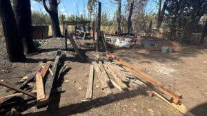 Lee más sobre el artículo Varela: Detuvieron a las dueñas de un hogar de menores acusadas de explotar a 13 niños