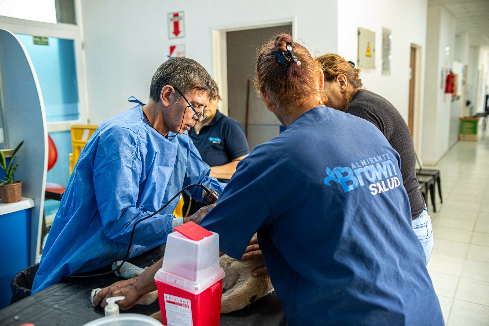 En este momento estás viendo Brindan atención veterinaria y castraciones en Don Orione