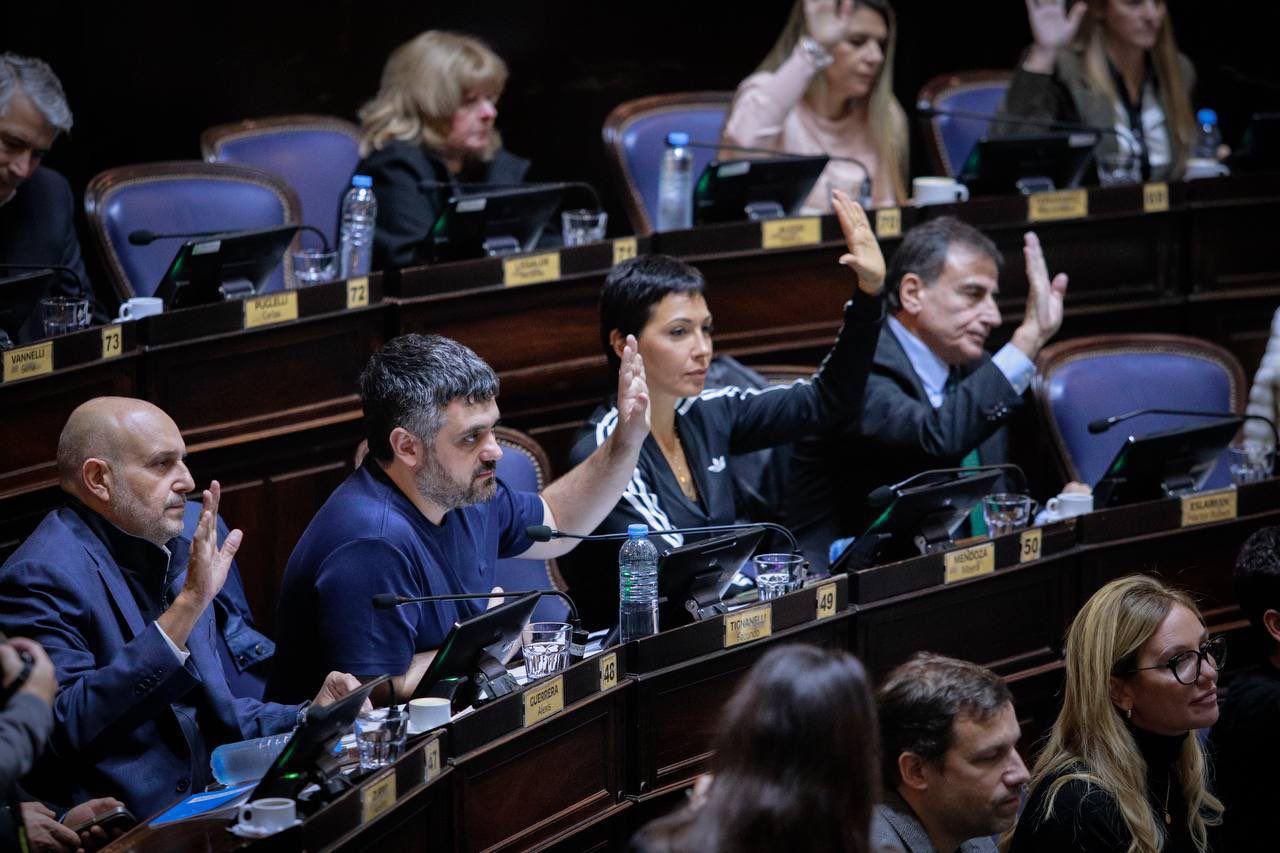 En este momento estás viendo Diputados aprobó la «Ley Joaquín» para regular la seguridad en plazas y clubes