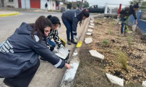 Lee más sobre el artículo El Municipio de Lomas desplegó actividades comunitarias junto a los vecinos