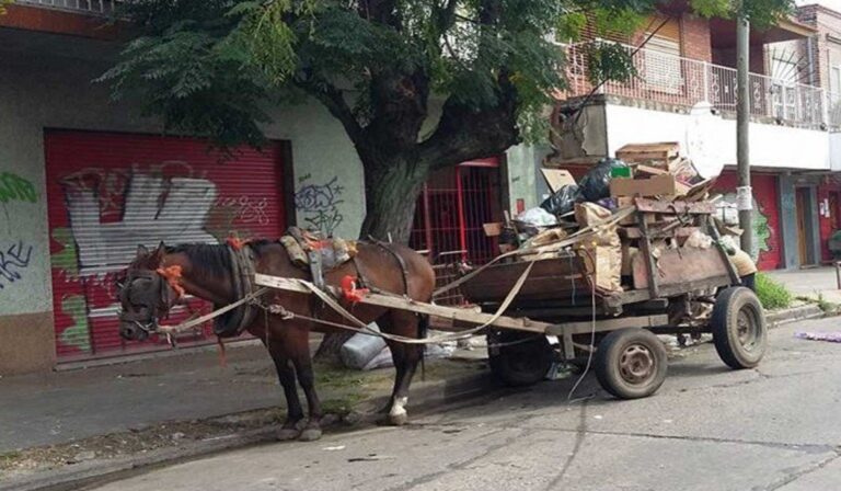 WhatsApp-Image-2023-06-13-at-13.32